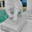 玉林 白麻花岗岩动物异形石雕-大象