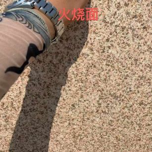 玉林黄金麻火烧面