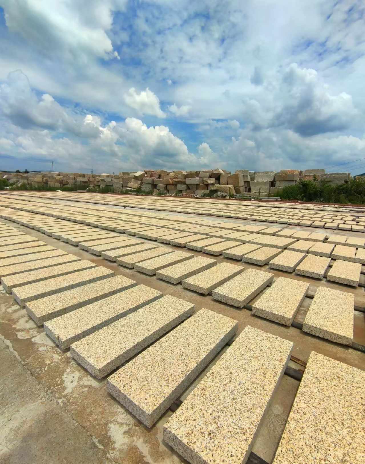 玉林 黄金麻荔枝面花岗岩石材地铺石防护中