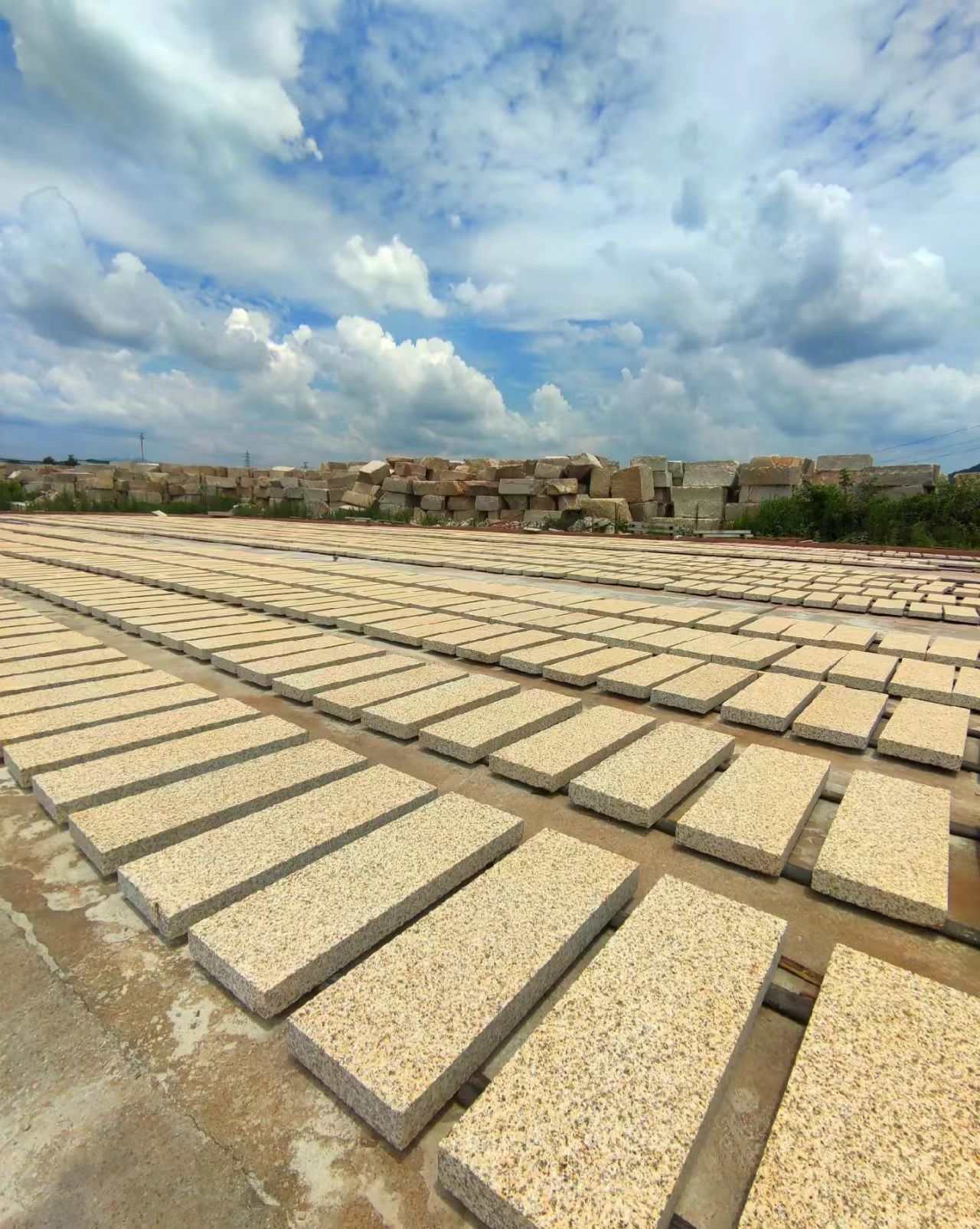 玉林 黄金麻花岗岩荔枝面地铺石防护中