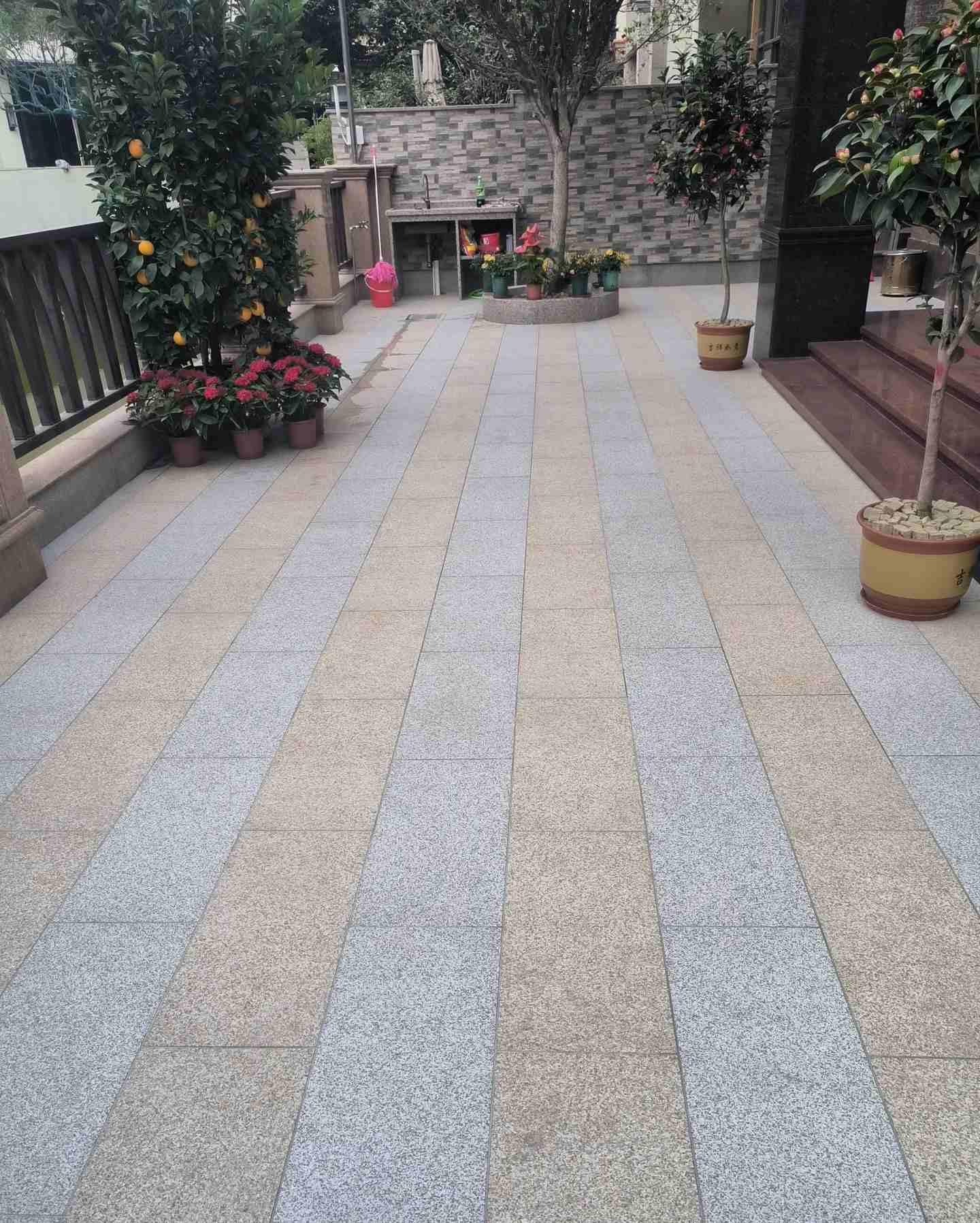 玉林 黄金麻白麻荔枝面庭院铺装展示